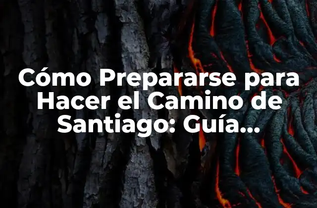 Cómo Prepararse para Hacer el Camino de Santiago: Guía Completa