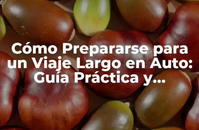 Cómo Prepararse para un Viaje Largo en Auto: Guía Práctica y Detallada