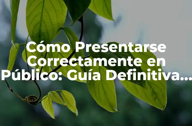 Cómo Presentarse Correctamente en Público: Guía Definitiva para Superar el Miedo Escénico 2 La Importancia de la Comunicación Efectiva en Público
