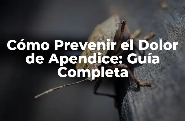 Cómo Prevenir el Dolor de Apendice: Guía Completa