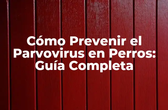 Cómo Prevenir el Parvovirus en Perros: Guía Completa 2 ¿Qué es el Parvovirus Canino?