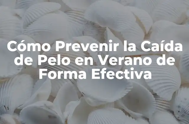 Cómo Prevenir la Caída de Pelo en Verano de Forma Efectiva