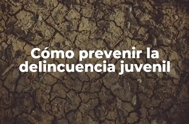 La importancia de la prevención de la delincuencia juvenil