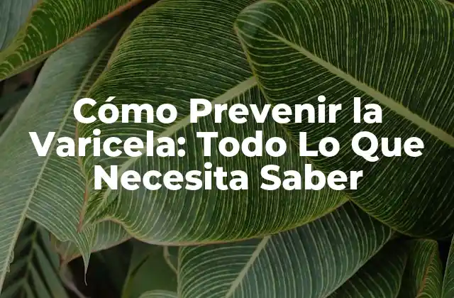 Cómo Prevenir la Varicela: Todo Lo que Necesita Saber