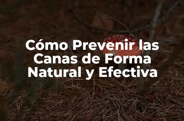 Cómo Prevenir las Canas de Forma Natural y Efectiva