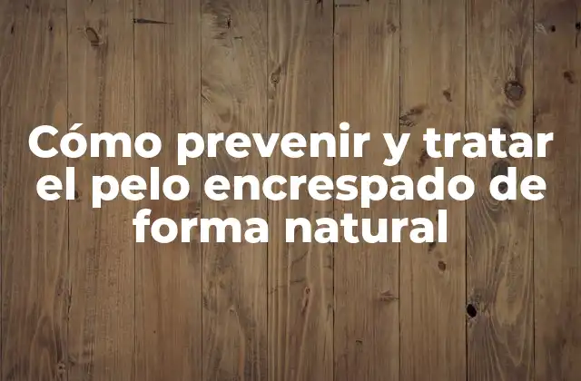 Cómo Prevenir y Tratar el Pelo Encrespado de Forma Natural