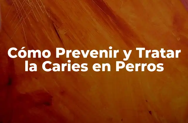 Cómo Prevenir y Tratar la Caries en Perros