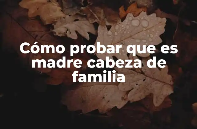 Cómo Probar que es Madre Cabeza de Familia 2 Requisitos legales para demostrar el rol de madre cabeza de familia