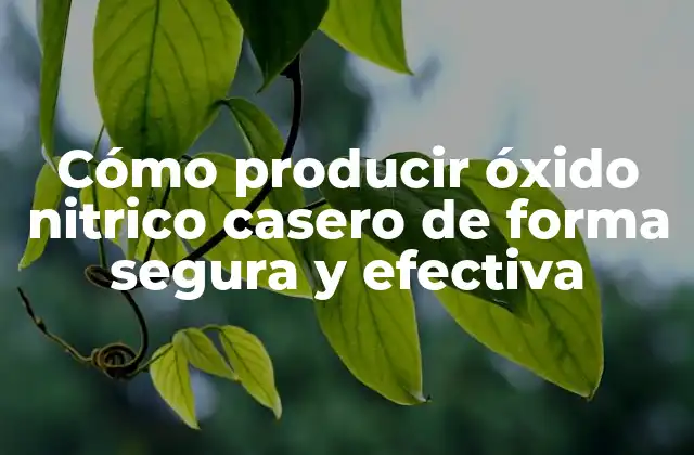 Cómo Producir Óxido Nitrico Casero de Forma Segura y Efectiva