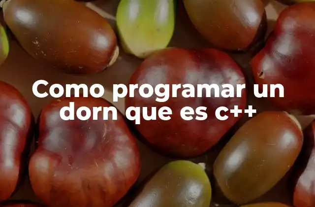 Como Programar un Dorn que es C++