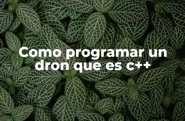 Como Programar un Dron que es C++ 2 La base técnica para controlar drones con C++