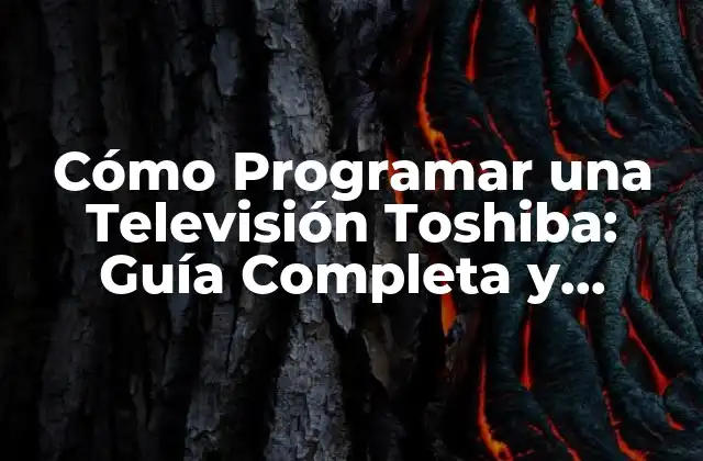 Cómo Programar una Televisión Toshiba: Guía Completa y Detallada