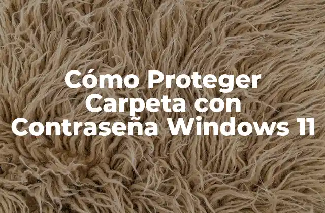 Cómo Proteger Carpeta con Contraseña Windows 11