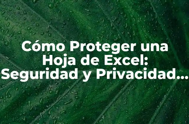 Cómo Proteger una Hoja de Excel: Seguridad y Privacidad en Tus Archivos