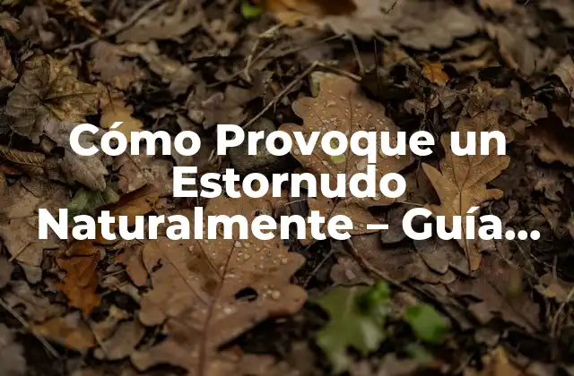 Cómo Provoque un Estornudo Naturalmente – Guía Completa