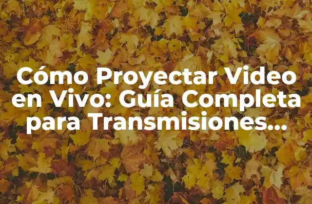 ¿Por qué es Importante Proyectar Video en Vivo?