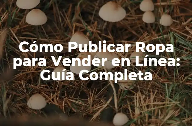 Preparación para Publicar Ropa para Vender