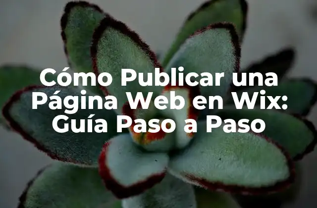 Cómo Publicar una Página Web en Wix: Guía Paso a Paso