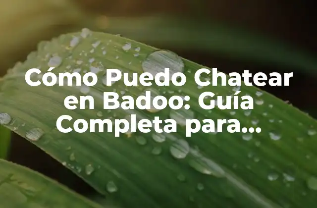 Cómo Puedo Chatear en Badoo: Guía Completa para Dominar el Chat en Badoo