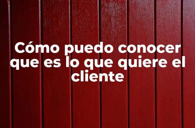 Cómo Puedo Conocer que es Lo que Quiere el Cliente
