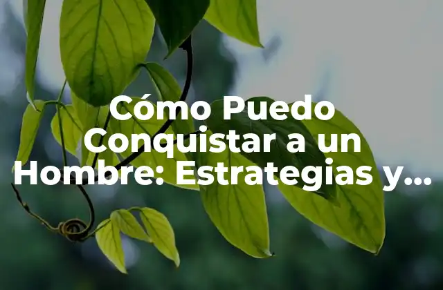 Cómo Puedo Conquistar a un Hombre: Estrategias y Técnicas para Atraer y Mantener a un Hombre