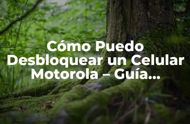 Cómo Puedo Desbloquear un Celular Motorola – Guía Completa