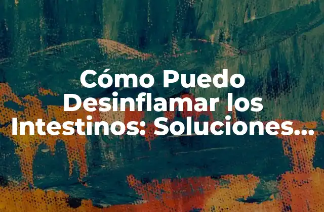 Cómo Puedo Desinflamar los Intestinos: Soluciones Naturales y Efectivas
