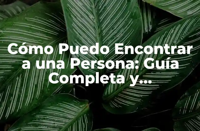 Cómo Puedo Encontrar a una Persona: Guía Completa y Actualizada