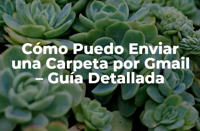 Cómo Puedo Enviar una Carpeta por Gmail – Guía Detallada