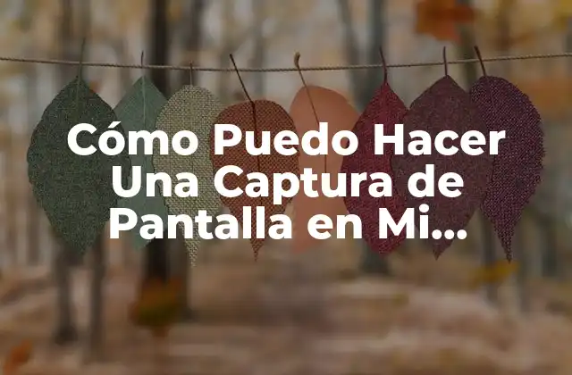 Cómo Puedo Hacer una Captura de Pantalla en Mi Computadora o Dispositivo Móvil