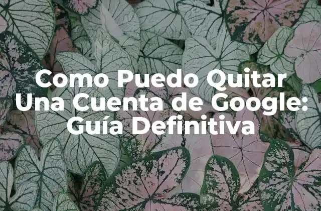 Como Puedo Quitar una Cuenta de Google: Guía Definitiva