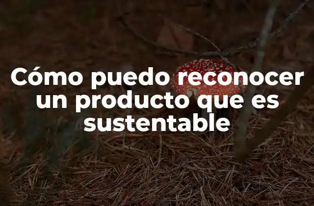 Cómo Puedo Reconocer un Producto que es Sustentable