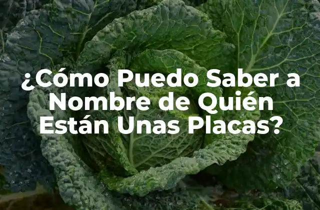 ¿cómo Puedo Saber a Nombre de Quién Están unas Placas?