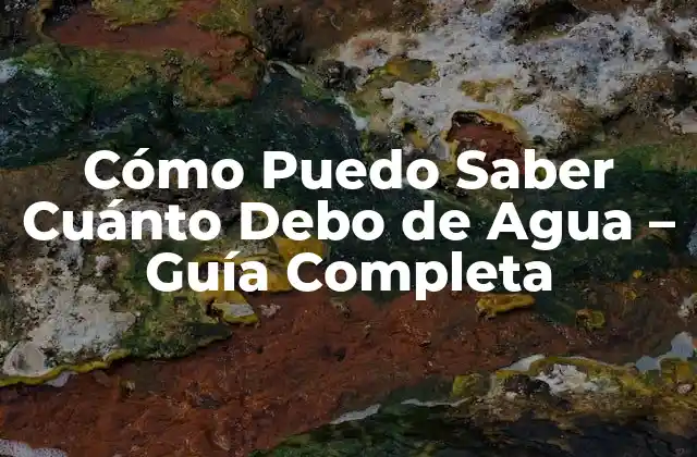 Cómo Puedo Saber Cuánto Debo de Agua – Guía Completa