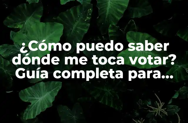 ¿cómo Puedo Saber Dónde Me Toca Votar? Guía Completa para Encontrar Tu Centro de Votación