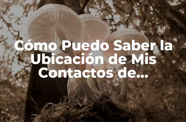 Cómo Puedo Saber la Ubicación de Mis Contactos de Whatsapp