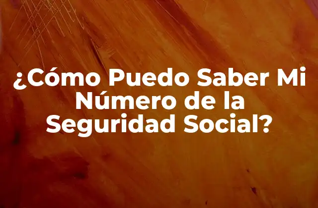 ¿cómo Puedo Saber Mi Número de la Seguridad Social?