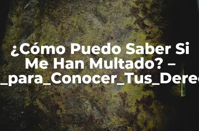 ¿cómo Puedo Saber Si Me Han Multado? – Guía_para_conocer_tus_derechos