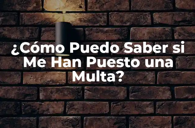 ¿cómo Puedo Saber Si Me Han Puesto una Multa?