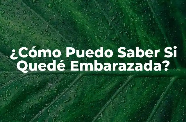 ¿cómo Puedo Saber Si Quedé Embarazada?