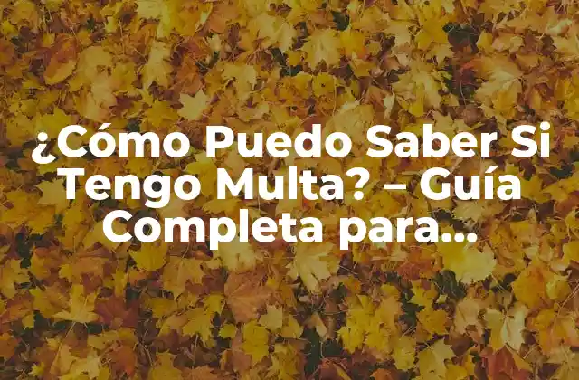 ¿cómo Puedo Saber Si Tengo Multa? – Guía Completa para Verificar Multas Pendientes