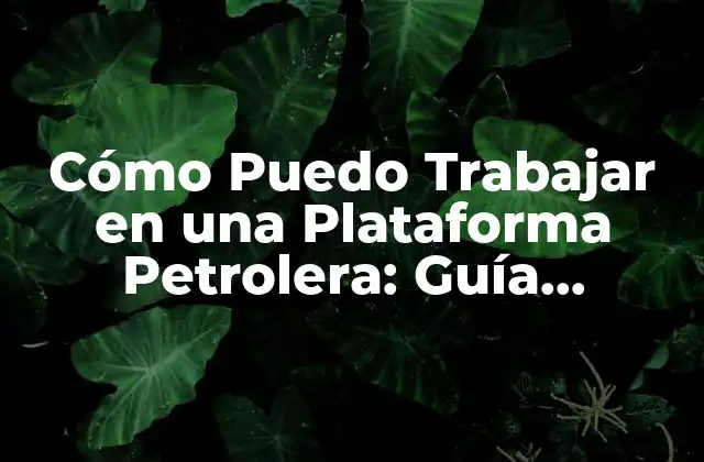 Cómo Puedo Trabajar en una Plataforma Petrolera: Guía Detallada y Completa