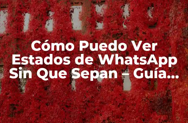 Cómo Puedo Ver Estados de Whatsapp sin que Sepan - Guía Completa 2 ¿Por Qué Quieres Ver Estados de WhatsApp Sin Que Sepan?
