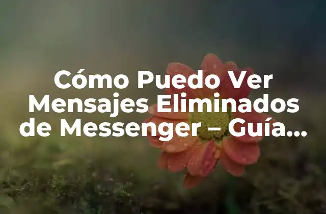 Cómo Puedo Ver Mensajes Eliminados de Messenger – Guía Completa