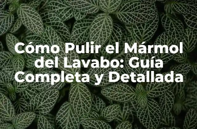 Cómo Pulir el Mármol Del Lavabo: Guía Completa y Detallada