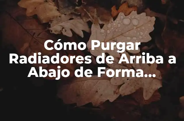 ¿Por qué es Importante Purgar Radiadores de Arriba a Abajo?