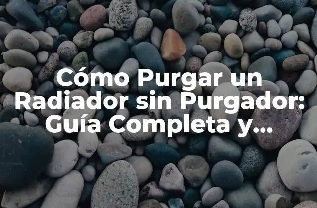Cómo Purgar un Radiador sin Purgador: Guía Completa y Detallada