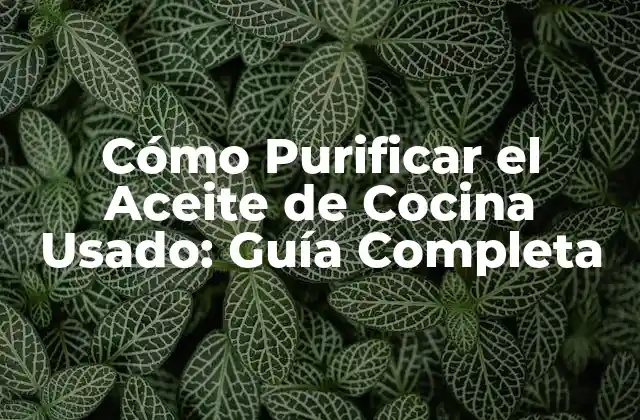 Cómo Purificar el Aceite de Cocina Usado: Guía Completa