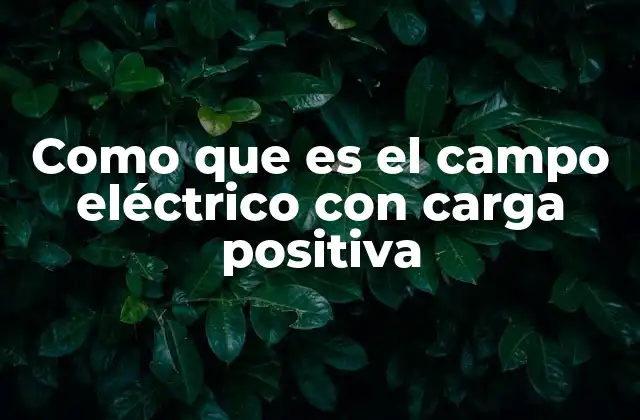 Como que es el Campo Eléctrico con Carga Positiva