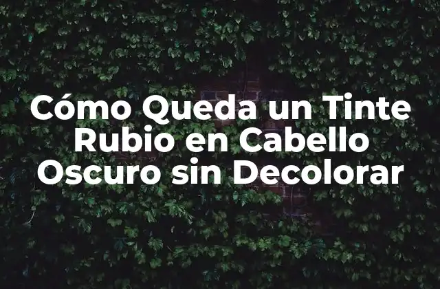 Cómo Queda un Tinte Rubio en Cabello Oscuro sin Decolorar 2 ¿Por qué el cabello oscuro es más difficile de teñir de rubio?